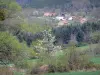Parco Naturale Regionale Livradois-Forez - Borgo in un ambiente verde e boscoso