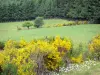 Parco Naturale Regionale di Millevaches nel Limosino