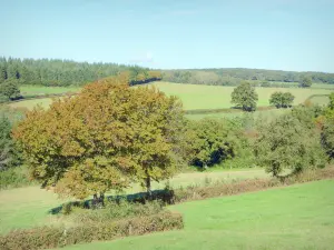 Parco Naturale Regionale del Morvan - Bocage du Morvan con le sue siepi, alberi e prati