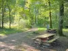 Parco Naturale Regionale del Morvan - Tavoli da picnic all'ombra degli alberi, ai margini di un sentiero nel bosco