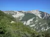 Parco Naturale Regionale del Vercors - Paesaggio montuoso del massiccio del Vercors