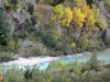 Parco Nazionale degli Écrins - Oisans - Massiccio des Ecrins - Vénéon valle: torrent Vénéon alberata con colori dell'autunno