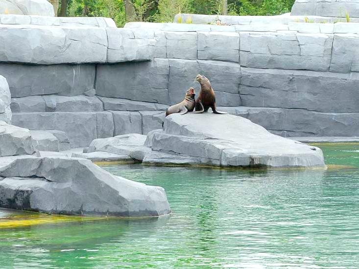 Come arrivare a Calgary Zoo - Indirizzo di Calgary Zoo