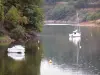 Pareloup湖 - PlateauduLévézou：漂浮在水面和绿色河岸上的小船