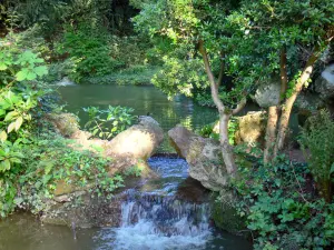 Park Bagatelle - Wasserfläche umgeben von Pflanzenwuchs