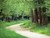 Park Bois de Vincennes - Gids voor toerisme, vakantie & weekend in Parijs