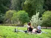 Park Buttes-Chaumont - 放松在绿色设置的草