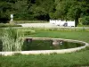 Parque Bagatelle - Gansos do Canadá (gansos selvagens) remando em uma bacia do parque