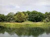 Parque Departamental Georges-Valbon - Cuerpo de agua en un entorno verde