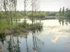 Parque Departamental de Haute-Île - Árvores refletindo na água