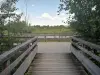 Parque Departamental de Haute-Île - Observatório da Vida Selvagem