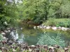 Parque Floral de la Source - Fuente de Loiret y los árboles a la orilla del agua