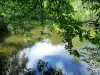 Parque Florestal Poudrerie - Árvores à beira da água