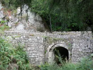 Parque Nacional de Cévennes - Pequena ponte de pedra, vegetação e árvores