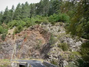 Parque Nacional de Cévennes - Estrada montanha, alinhado, com, pedras, e, árvores