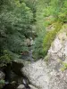 Parque Nacional de Cévennes - Rio, pedras e árvores