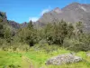 Parque Nacional da Reunião - Pista de caminhada no coração do cirque natural de Mafate