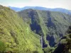 Parque Nacional da Reunião - Vista da cachoeira Trou de Fer e seu ambiente selvagem