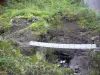 Parque Nacional da Reunião - Cirque de Mafate: Passarela Ethève atravessando o rio Galets