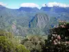 Parque Nacional da Reunião - Panorama do circulo de Salazie do Belvedere de Belouve