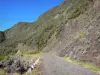 Parque Nacional da Reunião - Caminho que leva ao Col des Boeufs