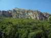 Parque Nacional de Mercantour - Parque Natural: rostos de rocha e árvores