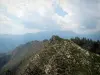 Parque Nacional de Mercantour - Parque Natural: cumes rochosos com vista para as montanhas circundantes