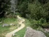 Parque Nacional dos Pirenéus - Trekking trilha forrada com árvores
