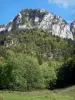 Parque Natural Regional de Chartreuse - Maciço de la Chartreuse: rostos de pedra, floresta, árvores e prado
