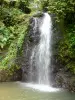 Parque Natural Regional da Martinica - Cascade du Saut-Gendarme, no município de Fonds-Saint-Denis