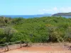 Parque Natural Regional da Martinica - Reserva natural da península de Caravelle: vista do mangue e do Oceano Atlântico