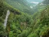 Parque Natural Regional do Haut-Jura - Desfiladeiros Flumen, árvores