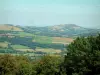 Parque Natural Regional de Haut-Languedoc - Árvores em primeiro plano com vista para pastagens, campos e florestas