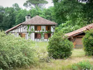 Parque Natural Regional de las Landas de Gascuña - Casa de madera rodeada de árboles