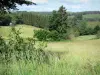 Parque Natural Regional de Millevaches em Limousin - Planalto Millevaches: prados floridos e floresta