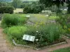 Parque Natural Regional de Morvan - Herbularium (jardín de hierbas aromáticas), de la Casa del Parque - Espace Saint-Brisson