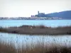 Parque Natural Regional de Narbonnaise no Mediterrâneo - Roselière, lagoa e antiga vila de Gruissan dominada pela torre Barberousse