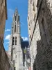 Parque Natural Regional de Oise - País de Francia - Torre de la catedral de Notre-Dame de Senlis