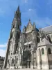 Parque Natural Regional Oise - Pays de France - Catedral de Nossa Senhora de Senlis