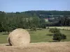 Parque Natural Regional de Perche - Palheiro em um campo, prados, fazenda e árvores