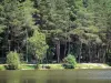 Parque Natural Regional de Perche - Árvores à beira de um lago
