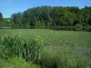 Parque Natural Regional Périgord-Limousin - Lagoa, flores e árvores
