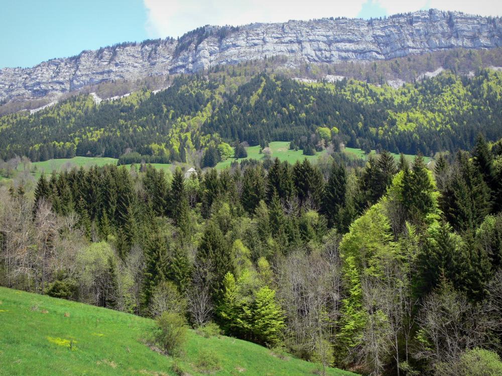 El Parque Natural Regional de Vercors - Parque Natural Regional del Vercors: Vercors macizo: los pastos, bosque (árboles) y el rock se enfrenta por encima del resto
