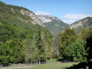 Parque Natural Regional de Vercors - Montañas que dominan un prado rodeado de árboles