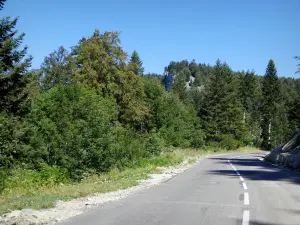 Parque Natural Regional de Vercors - Camino alrededor del Col de la Portette