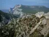 Parque Natural Regional de Verdon - Garrigue e rochedos (falésias calcárias)