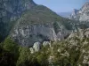Parque Natural Regional de Verdon - Árvores, cerrado e falésias calcárias (rostos rochosos) do Verdon Gorge