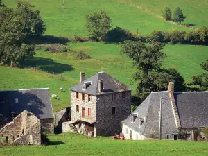 Parque Natural Regional de los Volcanes de Auvernia - Casa de piedra, pastos y árboles