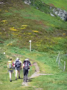 Parque Natural Regional de los Volcanes de Auvernia - Montes del Cantal: excursionistas en un sendero marcado