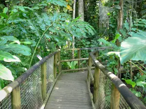 Parque zoológico y botánico de las Mamelles - Curso en el Jardín Botánico Tropical